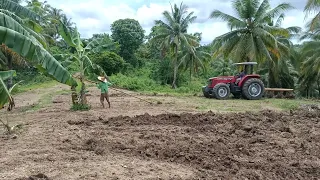 Massey Ferguson 445 Extra