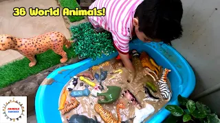 36 World Animal Adventure with Zayan & Rayan! Fun Learning in the Mud | Animals Sandbox