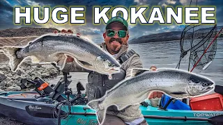 Trophy Kokanee: Lake Roosevelt [4 lb Kokanee!!!]