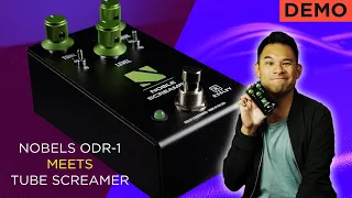 What Happens When You Blend A Nobels Overdrive and a Tube Screamer? |  Keeley Noble Screamer Drive