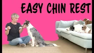 EASY Chin Rest - Dog Training by Kikopup