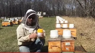 The #1 thing to do this spring as a  beekeeper