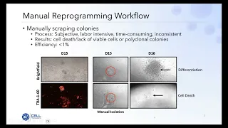 iPSC Reprogramming Challenges and Solutions