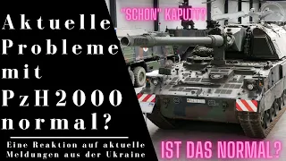 Sind die aktuellen Probleme mit der PzH2000 "normal"? - Eine Reaktion auf aktuelle Meldungen