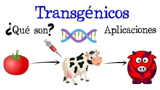 💉¿Qué son los Transgénicos? Ejemplos y Aplicaciones🍅  [Fácil y Rápido] | BIOLOGÍA |