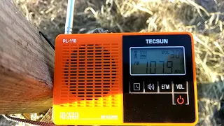 PL ~ 118  Tecsun  FM Radio.