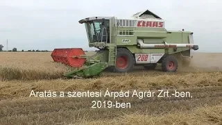 Aratás a szentesi Árpád Agrár Zrt.-ben, 2019-ben