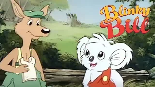 Blinky Bill - Episode 51 - Blinky Bill And The Old Wombat's House