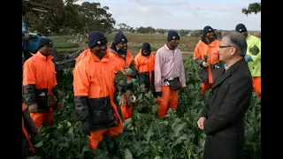 Connect Group Seasonal Workers sing for the SA Governor