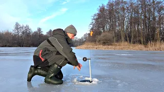 ТАМ МАТЬ! ЛЕСКА ТРЕЩИТ, РЫБА ДАВИТ! МОЯ САМАЯ БОЛЬШАЯ ЩУКА ЗИМОЙ! Зимняя рыбалка.