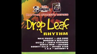 Drop Leaf Riddim Mix - Rubb a Dube Sound