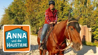 Reiten wie ein Cowgirl #4 | Information für Kinder | Anna und die Haustiere |Spezial