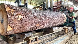 Amazing sawing a pine log #38