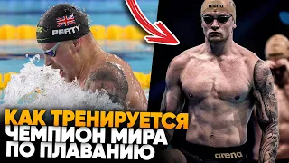 Адам Пити - Непобежденный чемпион по плаванию / Как тренируется на воде и в зале
