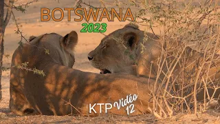 Kgalagadi Transfrontalier Park (KTP) 2023 Botswana