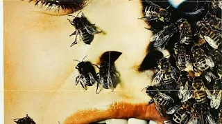 Abejas Asesinas Película Completa en Español Latino | Películas TONCONI.