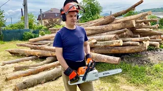 Stihl MS 241 C-M cea mai usoara drujba profesionala