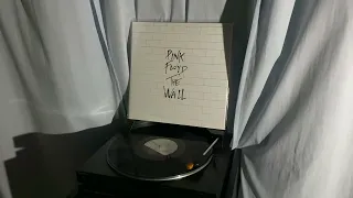 Pink Floyd - Hey You (Vinyl)