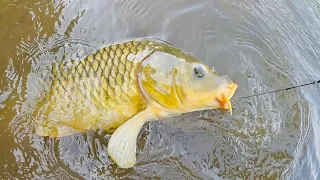 Carp Fishing Made Easy | How To Catch Tons Of Carp