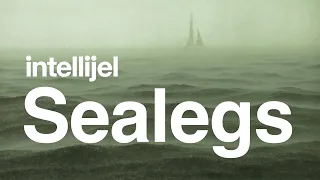 Intellijel Sealegs