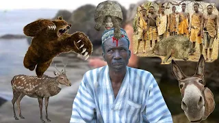 Sc@ry! Story Of a Ghanaian hunter:- Hunter Narrates how an antelope attacks him  in the forest!..