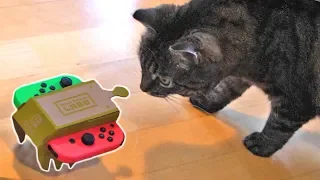 CAT REACTS TO LABO... Unboxing Nintendo Labo Piano + RC Car