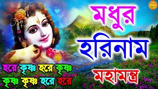 মধুর হরিনাম সংকীর্তন || Modhur Hori Naam Sankirtan || হরে কৃষ্ণ হরে রাম || Hare Krishna Hare Rama