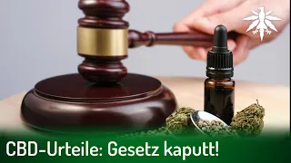 CBD-Urteile: Gesetz kaputt! | DHV-News # 333