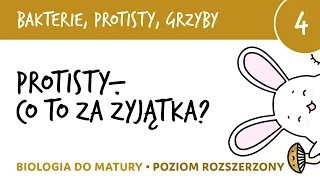 Protisty - co to za żyjątka? Przegląd protistów cz.1 - bakterie protisty i grzyby 4 - biologia