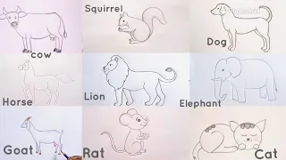 how to draw different animals drawing easy step by step@DrawingTalent