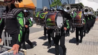 Cavaliers at Disney Springs