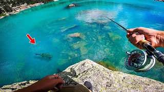 Fly Fishing NEON BLUE Water! Hiking and Fishing Rocky Mountain National Park