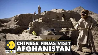 Chinese firms explore Lithium projects in Afghanistan | China | WION |World News Update|English News