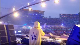 Alan Walker | Tomorrowland 2022