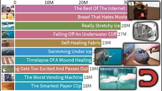 TOP 10 - Daily Dose of Internet's Most Viewed Videos of All Time - 2015-2020