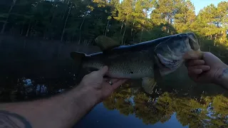 FALL TRANSITION! BASS FISHING!! ponds!South Carolina#south