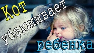 Кот убаюкивает ребёнка !!! №36 Kamedi TV