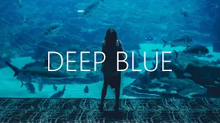 William Black - Deep Blue (Lyrics) Nurko Remix