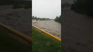 Река в Ачхой-Мартане после дождя