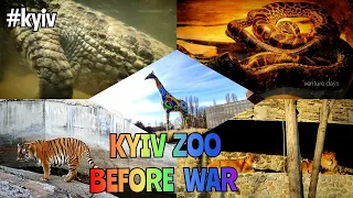 KYIV ZOO BEFORE WAR  / WHAT ALL ANIMALS PRESENT THERE #ukraine #ukrainerussiawar #kyivzoo #zoo #war
