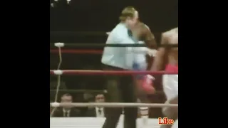 Без шансов / Mike Tyson vs Trent Singleton