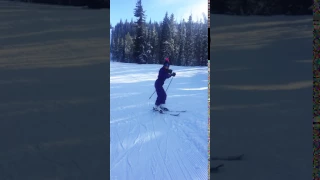 Learning to Ski as an Adult