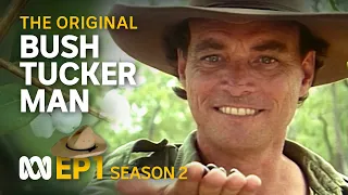 Wet season brings abundant bush tucker 🤠🗺️ | Bush Tucker Man | S2 EP1 | ABC Australia