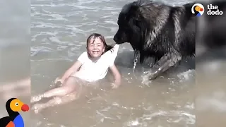 Dog 'Saves' His Little Girl From The Ocean | The Dodo