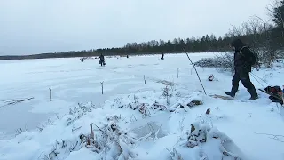 МОНСТРЫ на жерлицы и удочки! Ловля ротана со льда! Рыбалка зимой на 2021-22