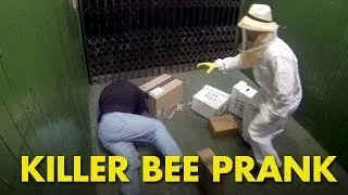 Killer Bee Prank - From BlackBoxTV