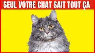 12 choses que les Chats savent sur Vous | Incroyablement Top