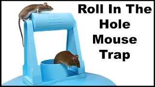 The Roll -In- The- Hole Mouse Trap. Does It Work on wild mice in the barn. Mousetrap Monday.