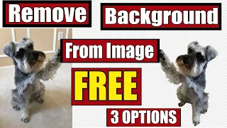 Remove Background From A Picture: 3 FREE Ways!