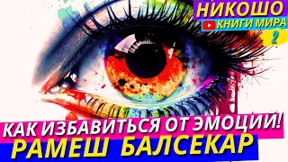 ШОК! Как Избавиться От Негативных Эмоций и Чувств?! Справочник Для Просветленных 2 | Никошо